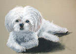 Puppe